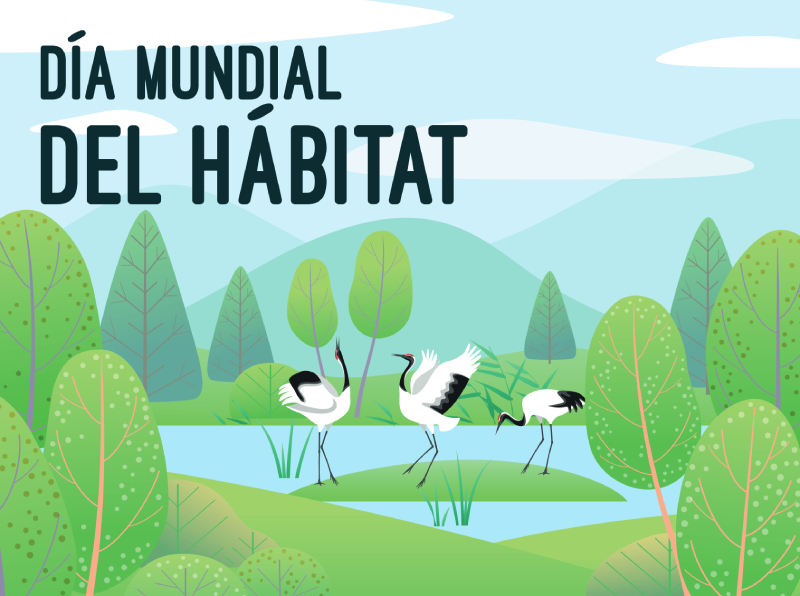 World Habitat Day