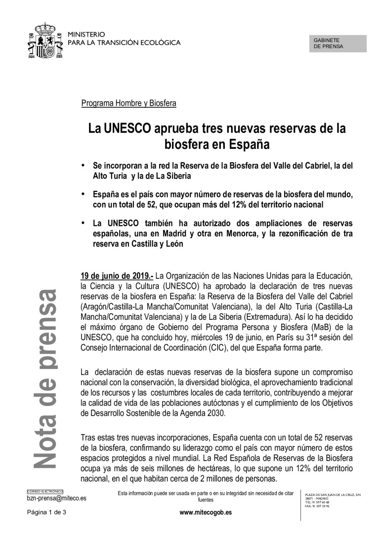 miniatura pdf