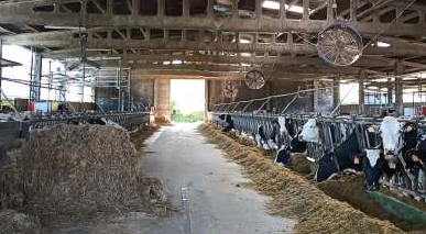 Explotación ganadera