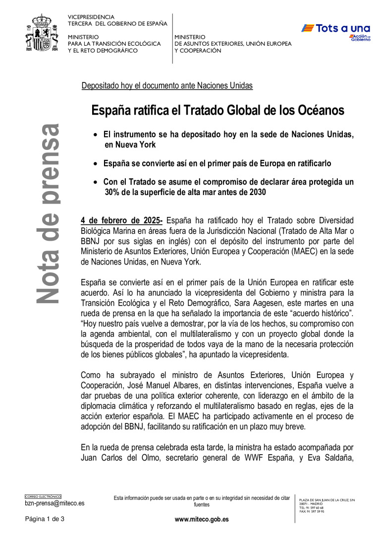 miniatura pdf