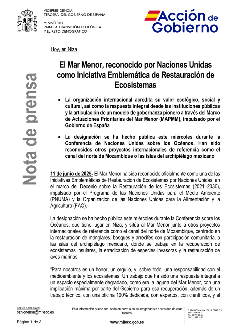 miniatura pdf
