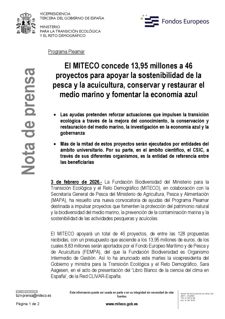 miniatura pdf