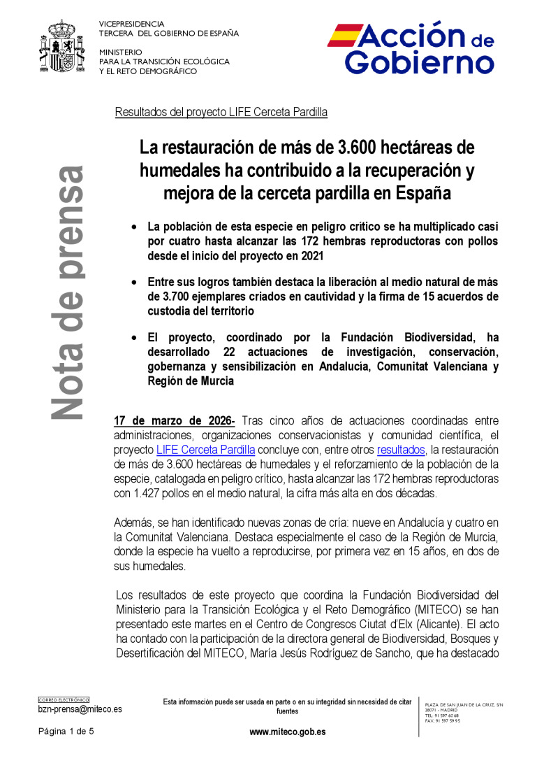miniatura pdf
