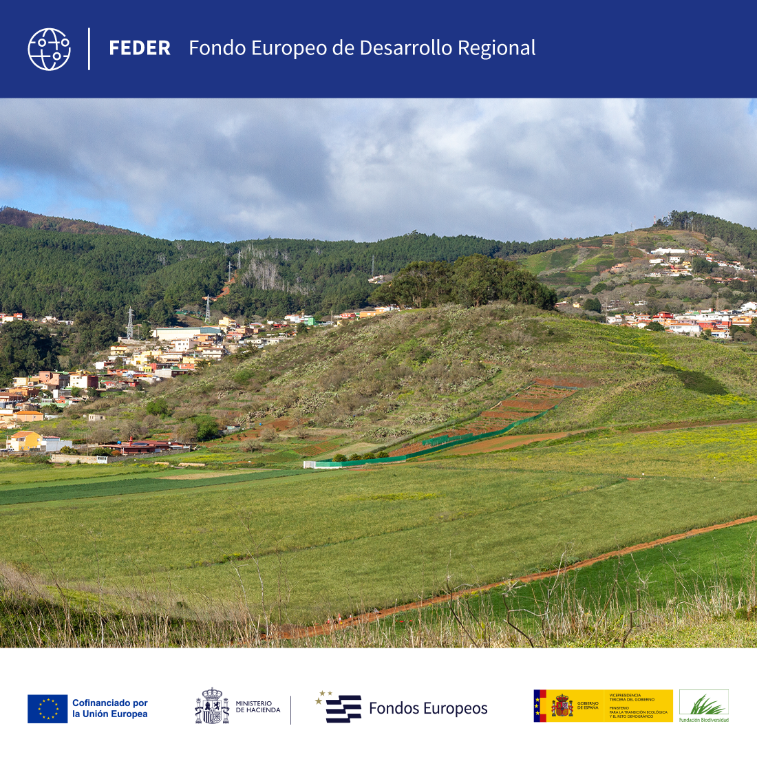 TENERIFE MEDIA. Restoration of island ecosystems and prevention of forest fires on the island of Tenerife.