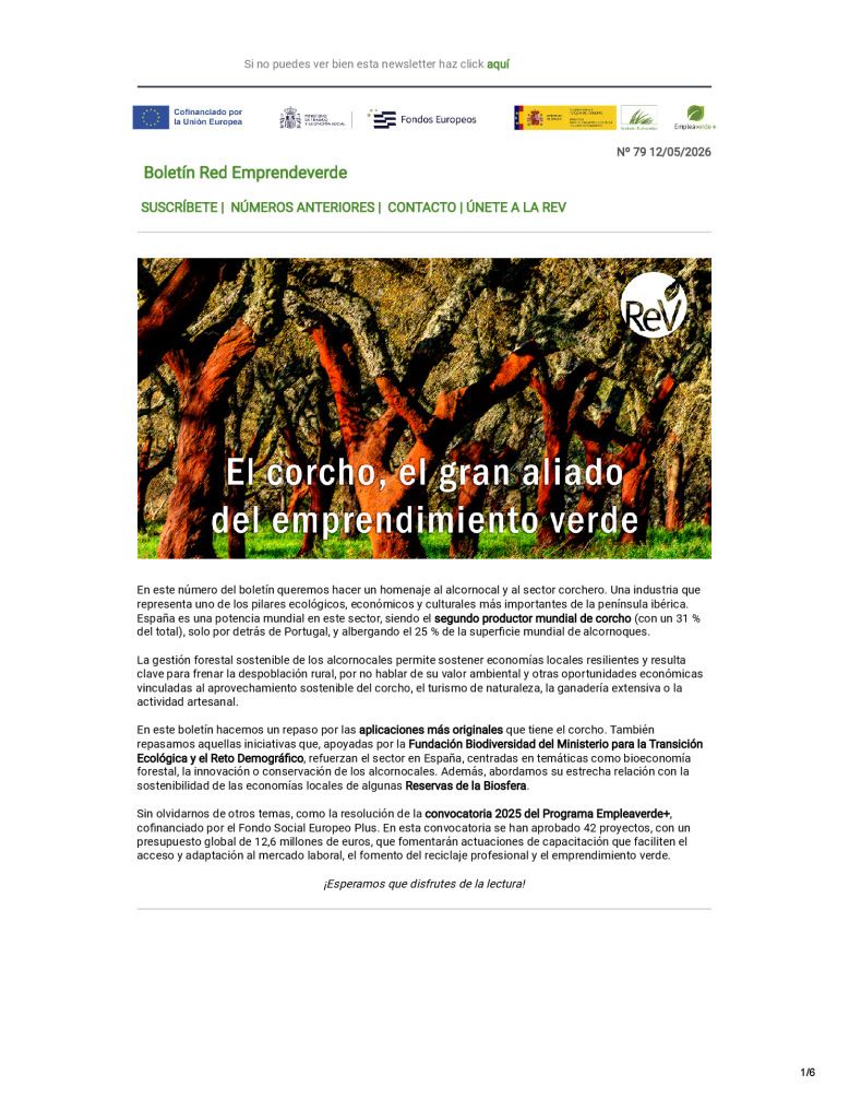 Miniatura Boletin
